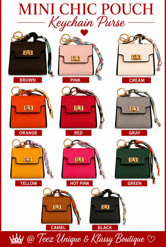 ❤️Teez Unique & Klassy Mini Chic Pouch Keychain Purses❤️